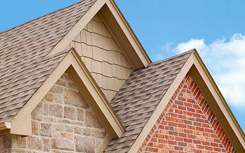 Roof Cleaning